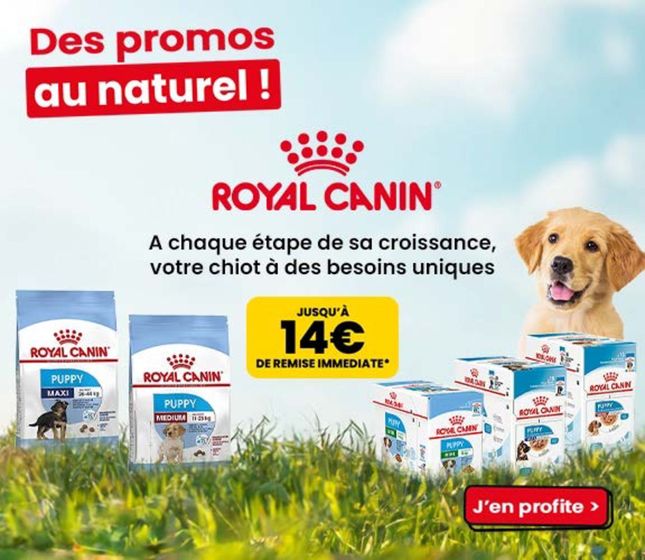 Catalogue Animalis à Trégueux | Des promos au naturel ! | 14/05/2024 - 31/05/2024