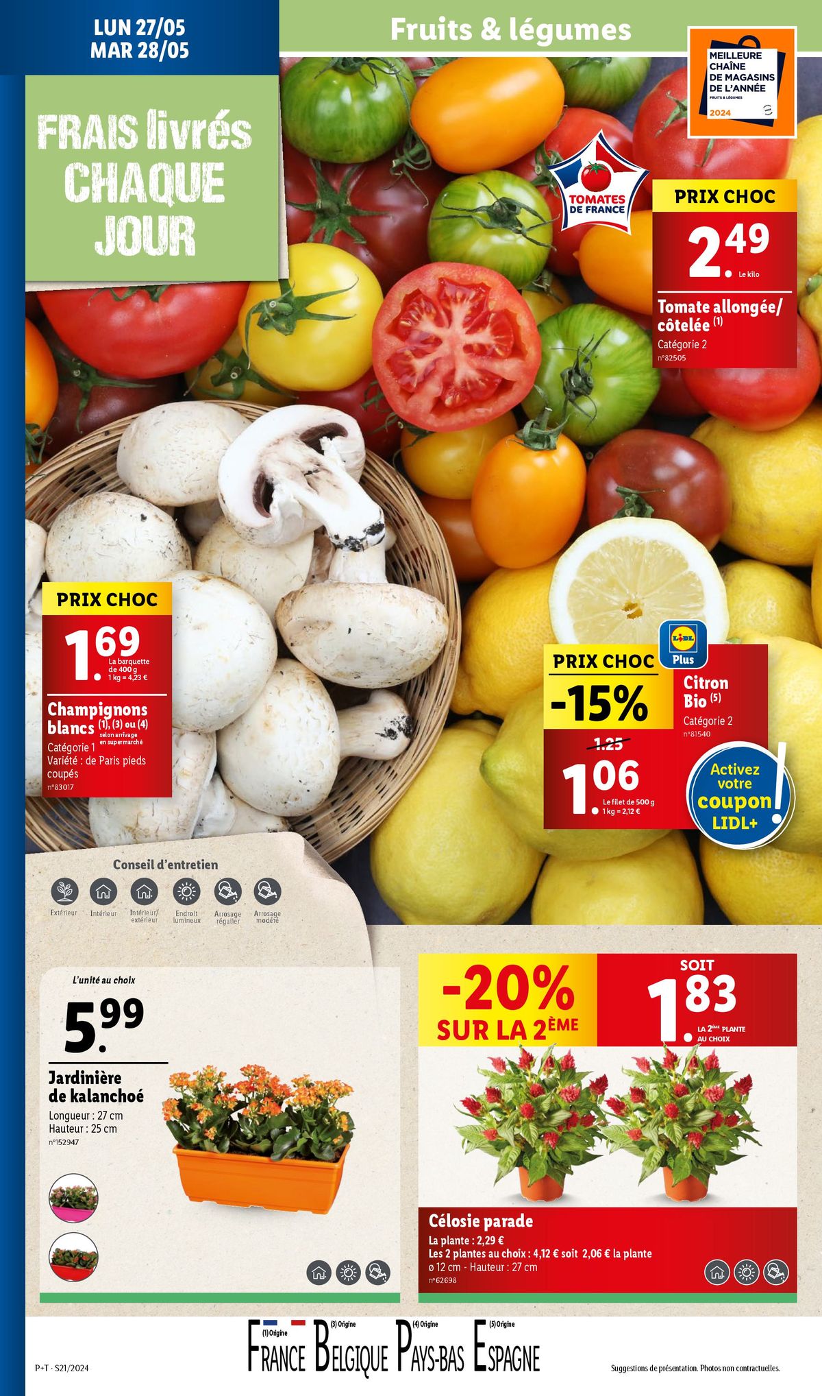 Catalogue Retrouvez toutes vos marques favorites à petits prix dans nos supermarchés Lidl !, page 00032
