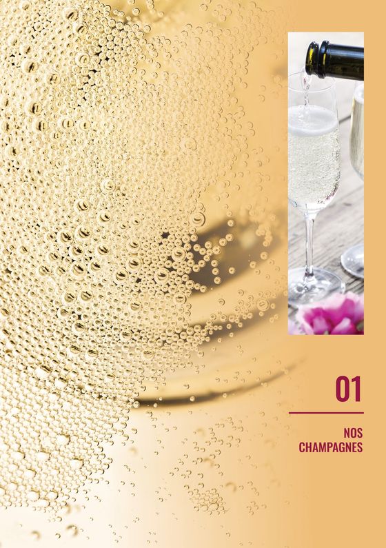 Catalogue Nicolas à Sucy-en-Brie | FOIRE AUX CHAMPAGNES CHEZ NICOLAS | 17/05/2024 - 04/06/2024