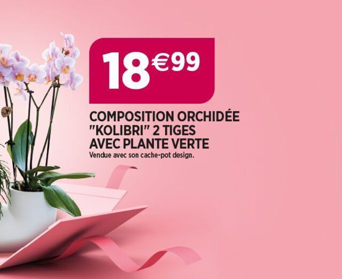 Catalogue Delbard à La Châtre | Promotion | 23/05/2024 - 31/05/2024