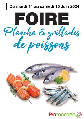 Promos de Supermarchés à Le Tampon | Plancha & grillades de poissons sur Promocash | 11/06/2024 - 15/06/2024