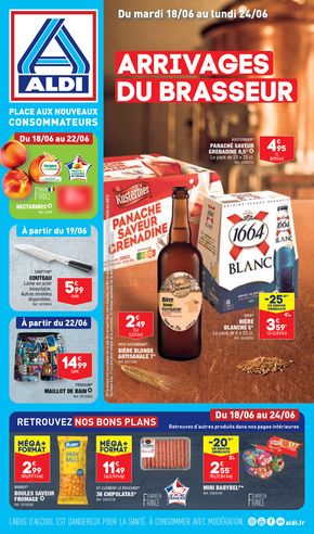 Promos de Discount Alimentaire à Ronchamp | Arrivages du brasseur sur Aldi | 18/06/2024 - 24/06/2024
