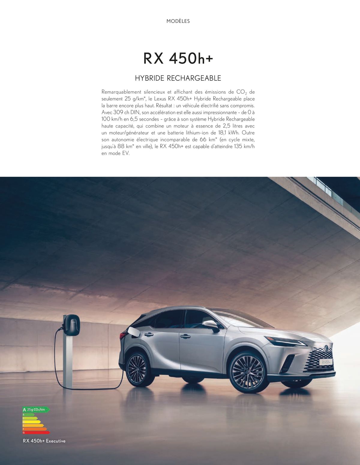 Catalogue Lexus NOUVEAU RX, page 00024