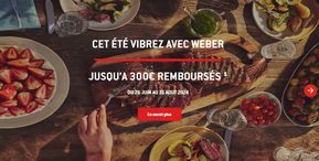 Promos de Bricolage à Grasse | JUSQU'A 300€ REMBOURSES  sur Weber | 26/06/2024 - 16/08/2024
