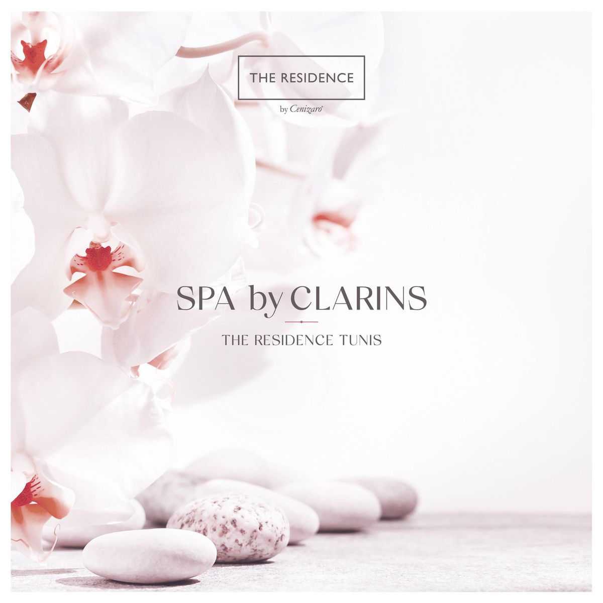 Catalogue Spa by Clarins, page 00001