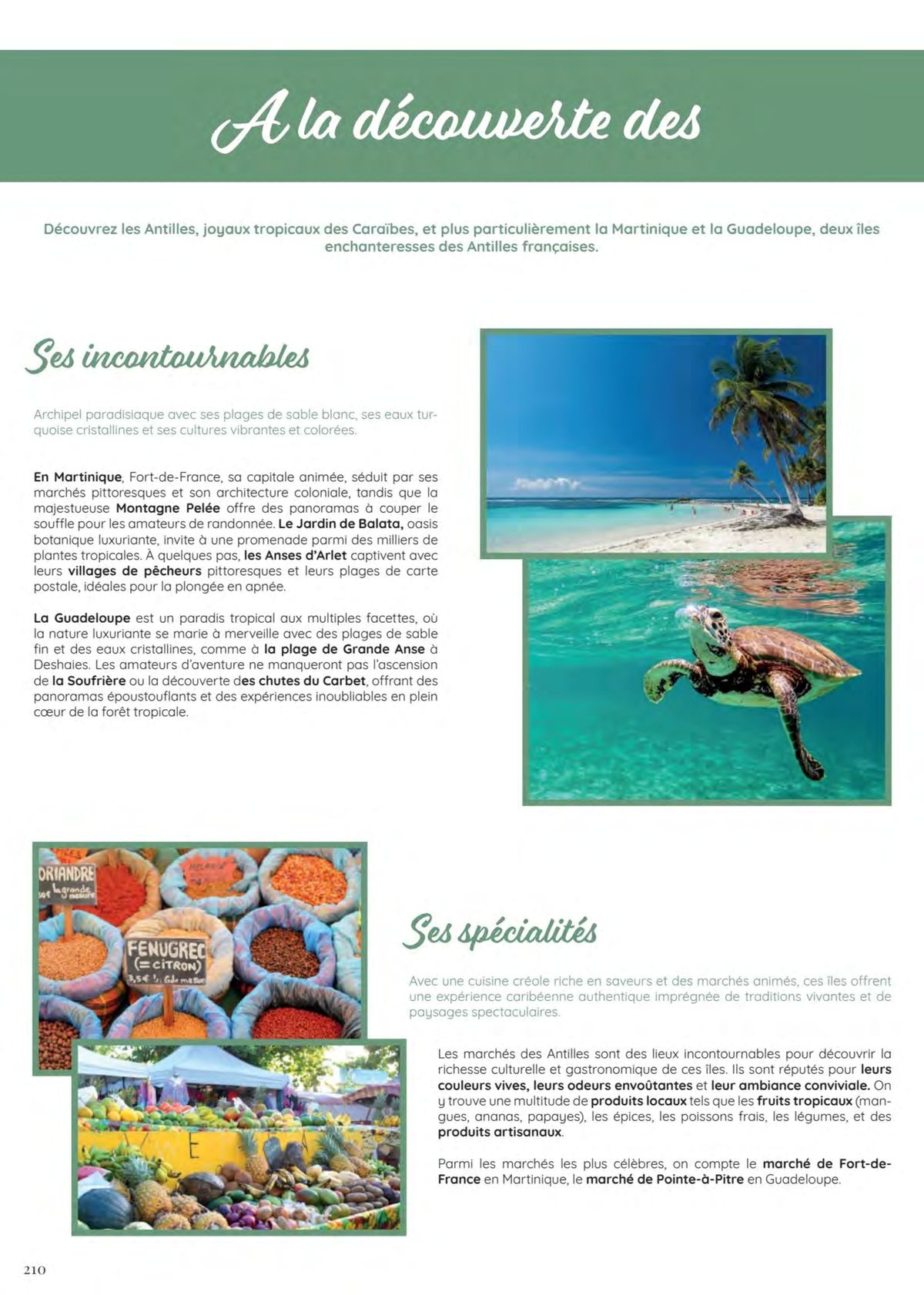Catalogue  Amériques 2025, page 00210