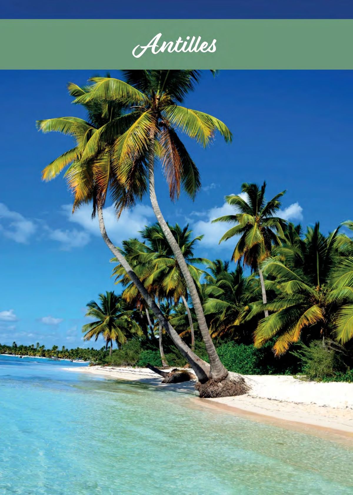 Catalogue  Amériques 2025, page 00211