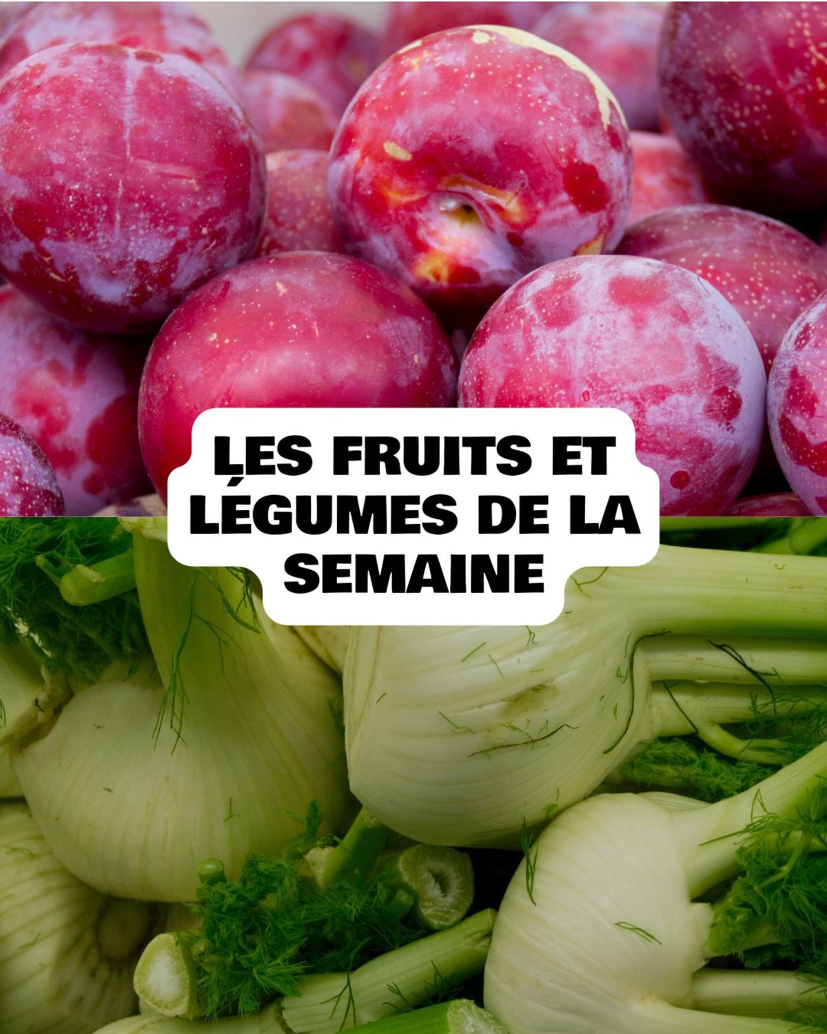 Catalogue Notre offre fruits et légumes 100% française de la semaine est arrivée dans votre épicerie NOUS !, page 00001