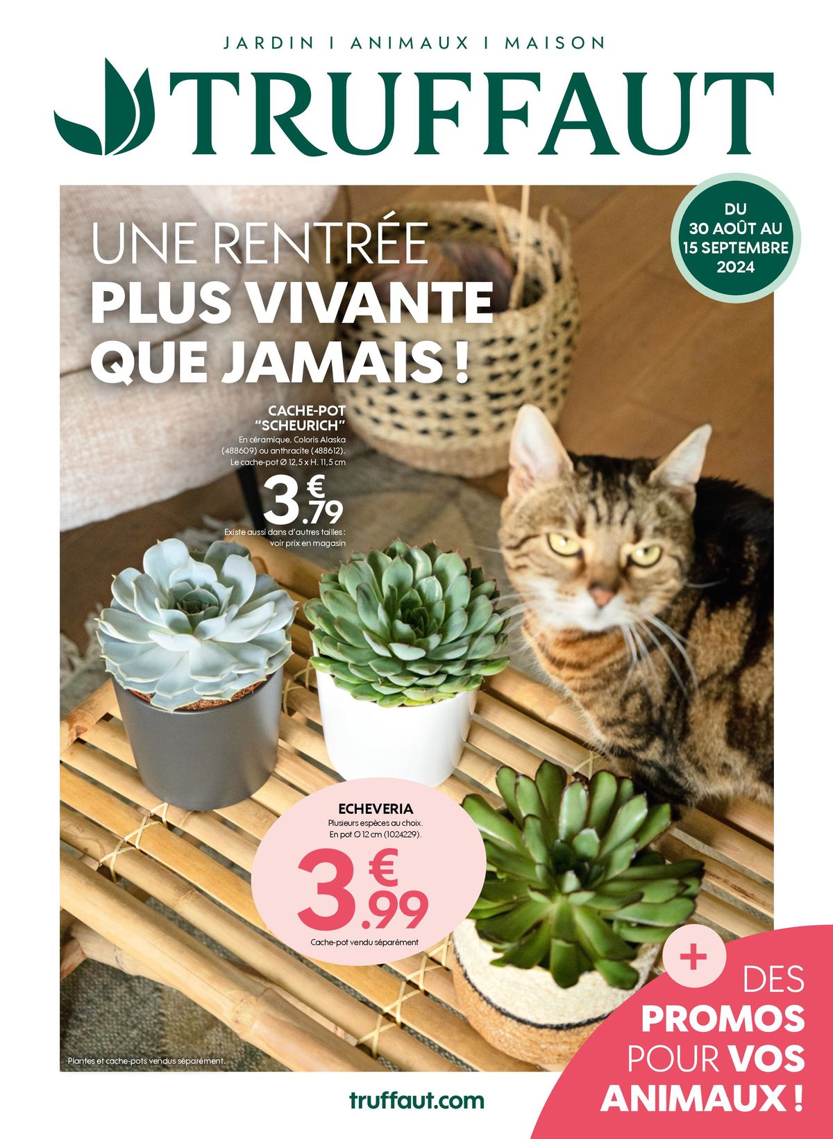 Catalogue Une rentrée plus vivante que jamais !, page 00001