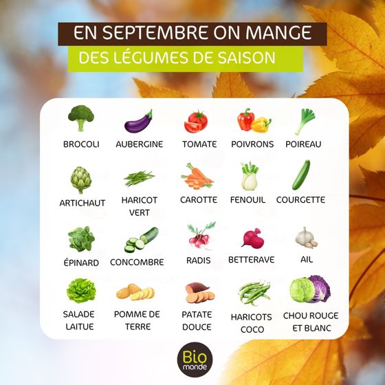 Légumes de septembre