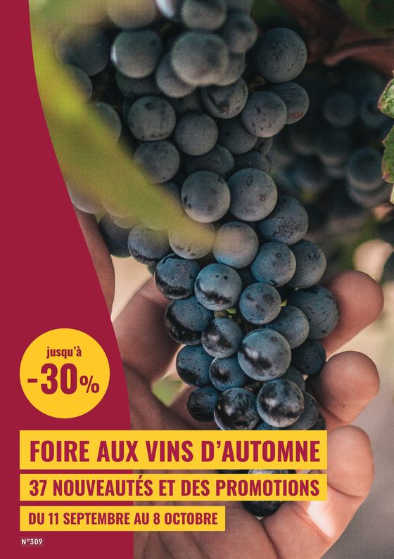 Catalogue Nicolas à La Varenne-Saint-Hilaire | FOIRE AUX VINS D’AUTOMNE | 16/09/2024 - 08/10/2024