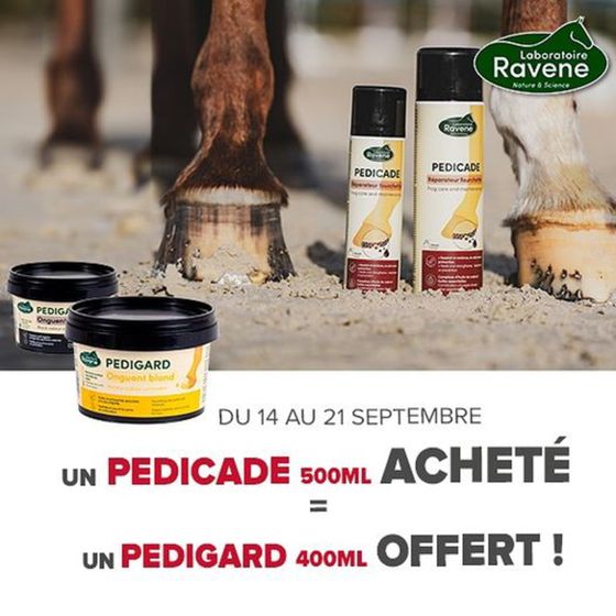 Catalogue Padd à Montélimar | Offre valable dans la limite des stocks disponibles. | 17/09/2024 - 21/09/2024