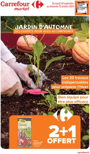 Catalogue Carrefour Market à Pacy-sur-Eure | BRICO & JARDIN AUTOMNE | 24/09/2024 - 13/10/2024