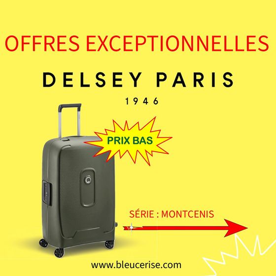 BAGAGERIE DELSEY MONTCENIS À PRIX EXCEPTIONNEL 