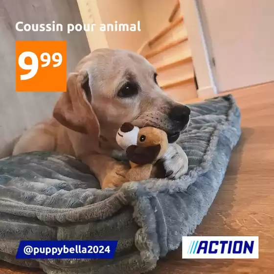 Coussin pour animal