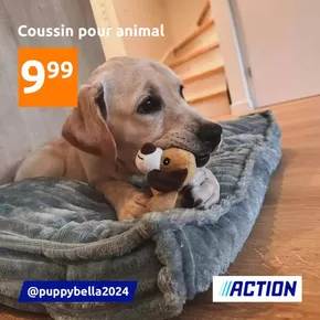 Catalogue Action à Saint-Martin-des-Champs (Finistère) | Coussin pour animal | 01/10/2024 - 07/10/2024