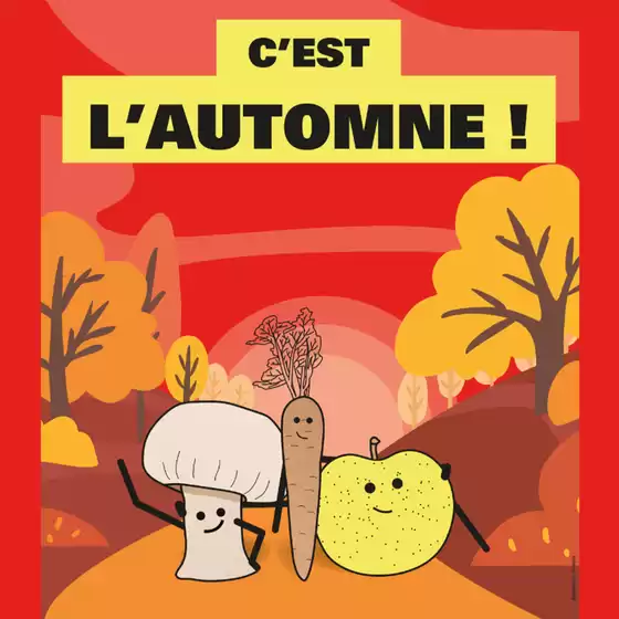 Cette semaine, C’est l’Automne ! Découvrez nos produits tendances de la saison.