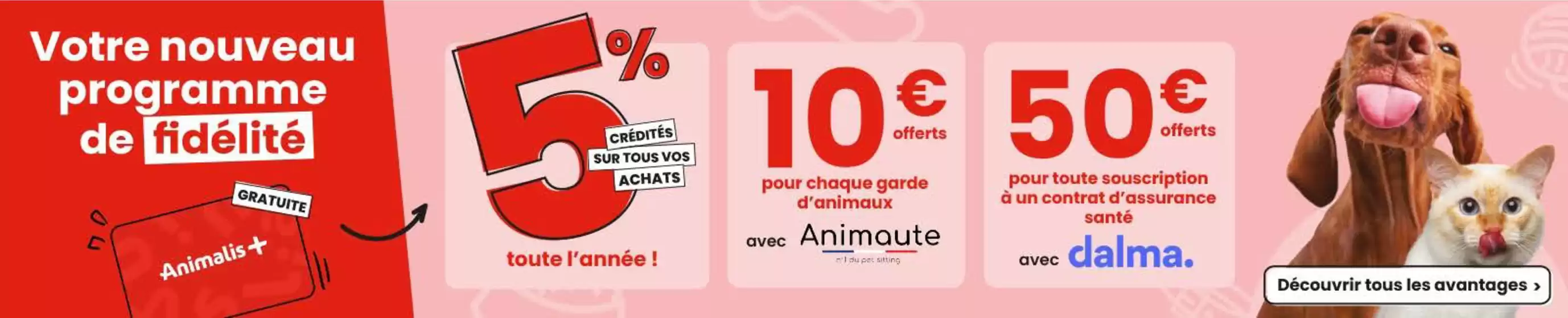 Catalogue Animalis à Nice | Ne manquez pas cette occasion unique de choyer vos amis à quatre pattes tout en faisant des économies ! | 07/10/2024 - 31/10/2024