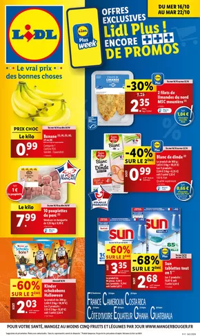 Catalogue Lidl à Heussé | Préparez-vous pour Halloween : Costumes, décorations et accessoires à prix mini | 16/10/2024 - 22/10/2024