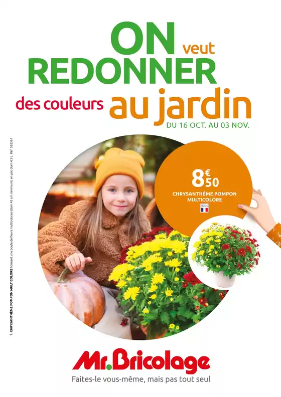 On veut redonner des couleurs au jardin