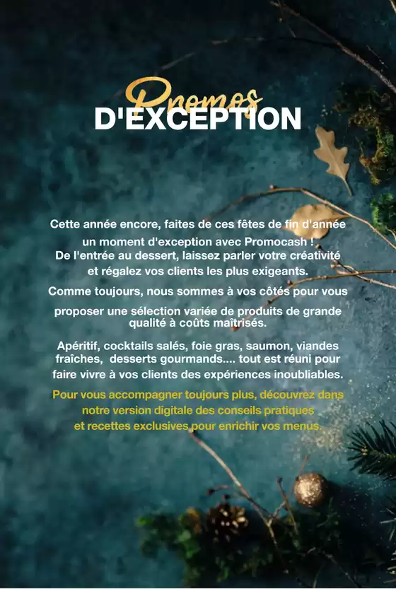 Catalogue Promocash à Saint-Dié-des-Vosges | PROMOS D'EXCEPTION | 16/10/2024 - 31/12/2024