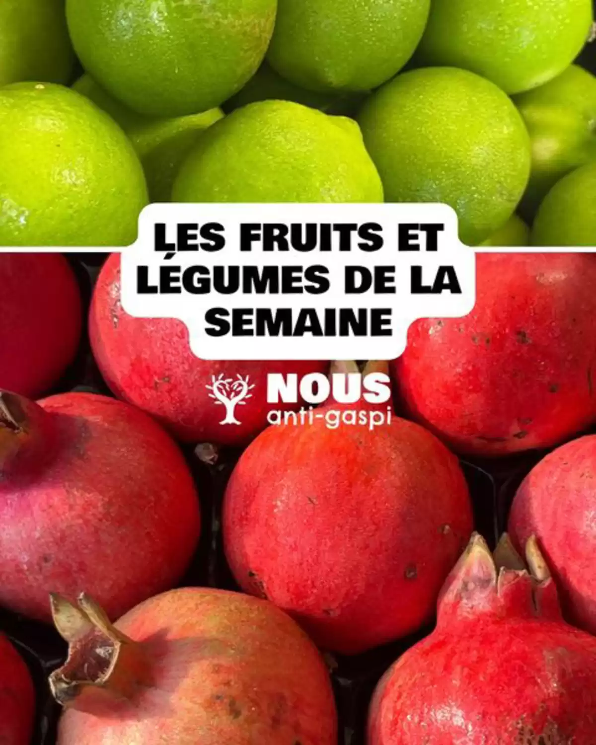 Catalogue Nos offres fruits et légumes de la semaine sont arrivées en magasin ! , page 00001