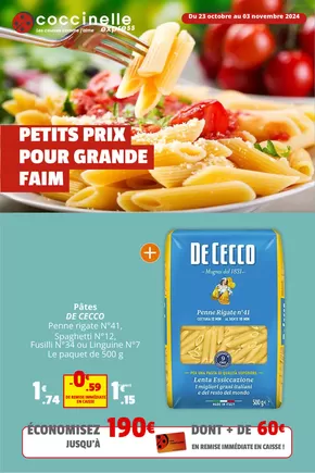 Promos de Supermarchés à Le Relecq-Kerhuon | PETITS PRIX POUR GRANDE FAIM sur Coccinelle Express | 23/10/2024 - 03/11/2024