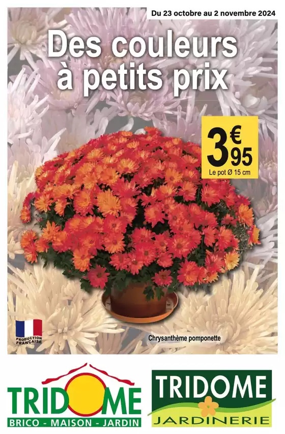 Catalogue Tridôme à Perpignan | Des couleurs à petits prix | 23/10/2024 - 02/11/2024