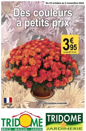 Catalogue Tridôme à Carcassonne | Des couleurs à petits prix | 23/10/2024 - 02/11/2024