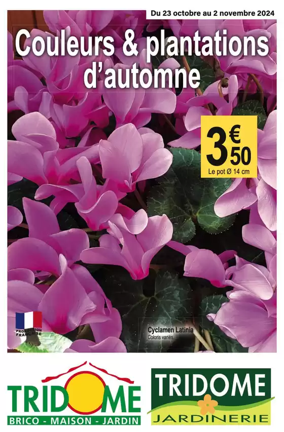 Catalogue Tridôme à Carcassonne | Couleurs & plantations d'automne | 23/10/2024 - 02/11/2024