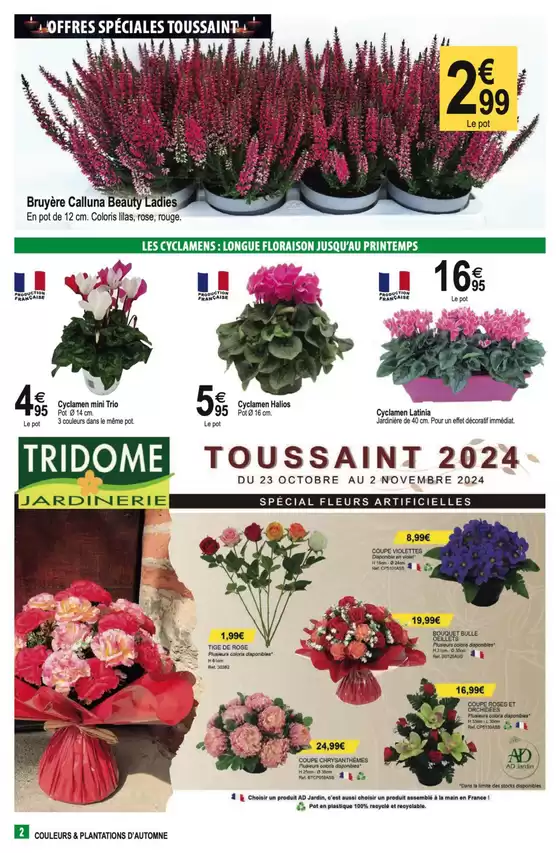 Catalogue Tridôme à Salaise-sur-Sanne | Couleurs & plantations d'automne | 23/10/2024 - 02/11/2024