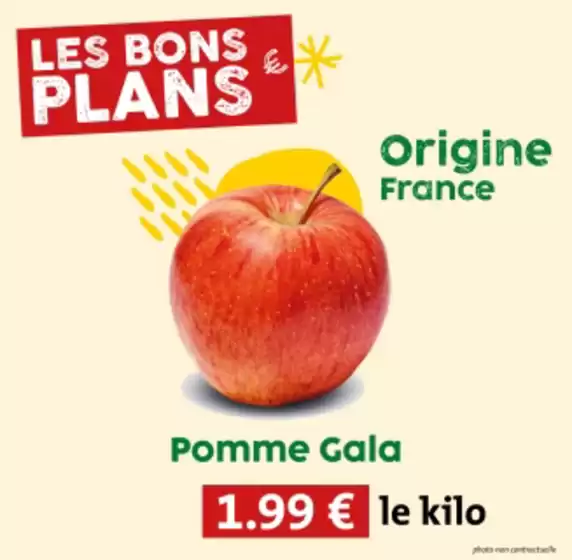 Catalogue So.bio à Castres (Tarn) | Le Bon Plan Fruits et Légumes de la semaine ! | 31/10/2024 - 03/11/2024