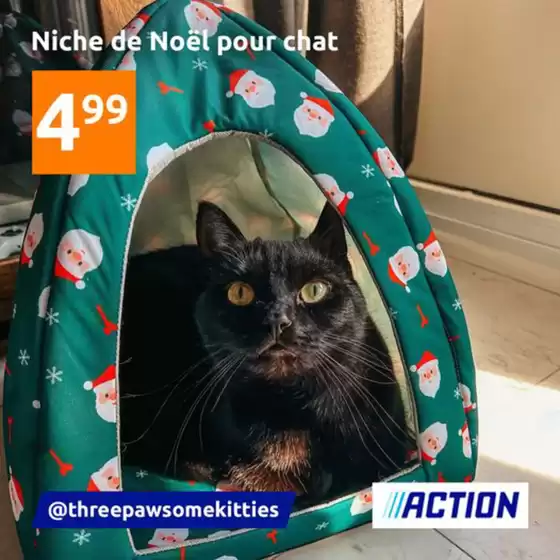 Niche de Noël pour chat