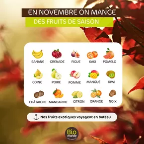 Promos de Magasins Bio | En Novembre On Mange sur Biomonde | 04/11/2024 - 30/11/2024