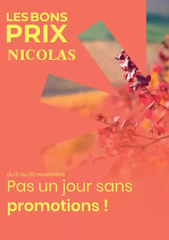 Catalogue Nicolas à Paris | Pas un jour sans promotions ! | 08/11/2024 - 20/11/2024