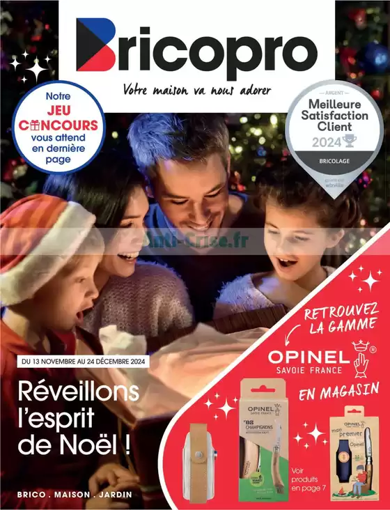 Catalogue Brico Pro à Strasbourg | Réveillon l'esprit de Noël | 13/11/2024 - 24/12/2024