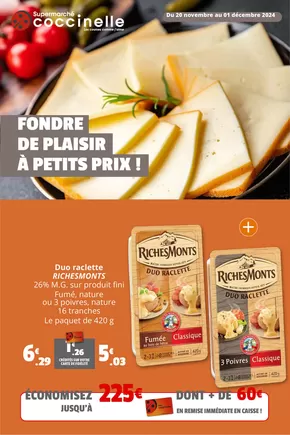 Promos de Supermarchés à Condé-sur-Noireau | FONDRE DE PLAISIR À PETITS PRIX ! sur Coccinelle Supermarché | 20/11/2024 - 01/12/2024