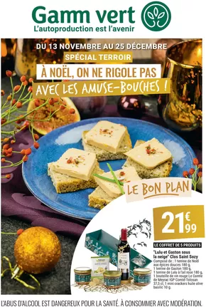 Promos de Jardineries et Animaleries à Angers | Spécial Noël sur Gamm vert | 20/11/2024 - 25/12/2024