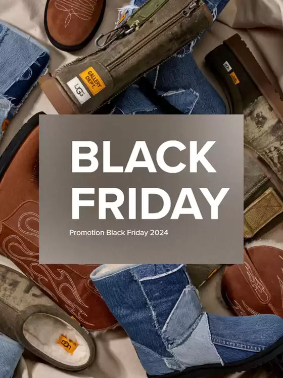 Promotion Black Friday