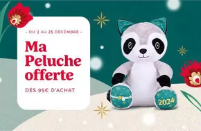 Promos de Beauté à Saint-Malo | Une peluche Raton Laveur offerte sur Passion Beauté | 03/12/2024 - 25/12/2024