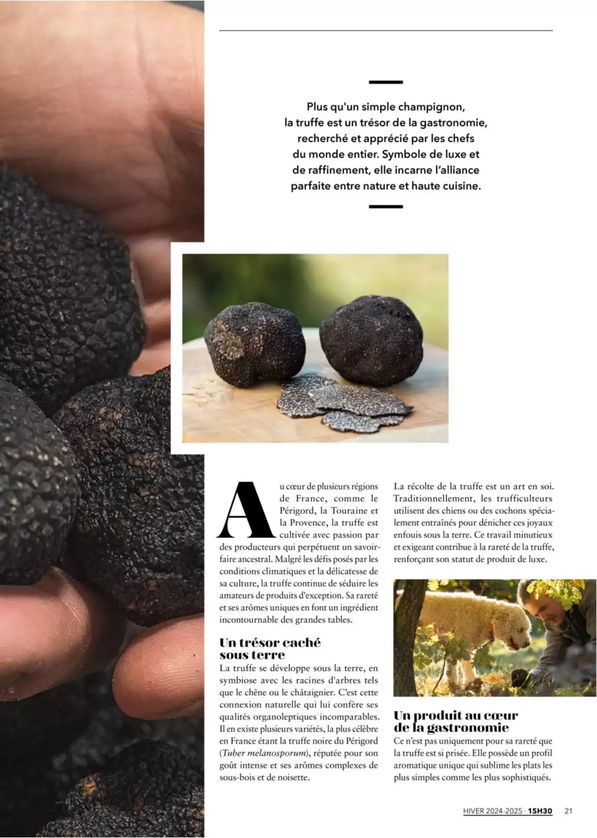 Catalogue Metro Magazine 15h30 N°12, page 00013