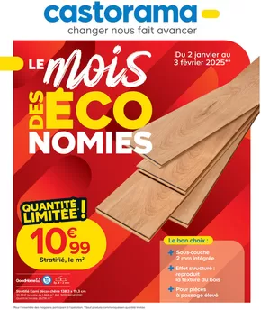 Catalogue Castorama à Dottignies | Le Mois des Économies | 02/01/2025 - 03/02/2025