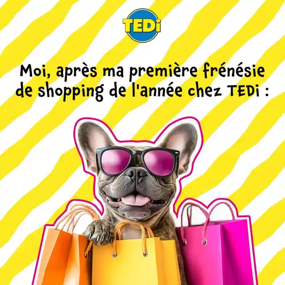 Catalogue TEDi