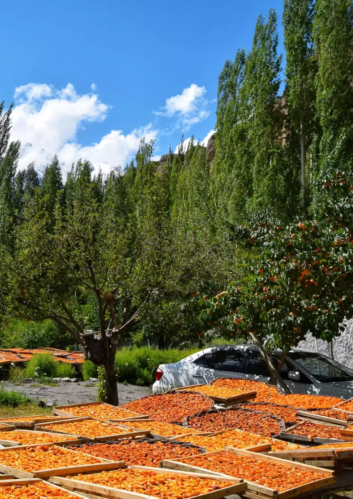 Catalogue Catalogue Produit 2025, page 00003