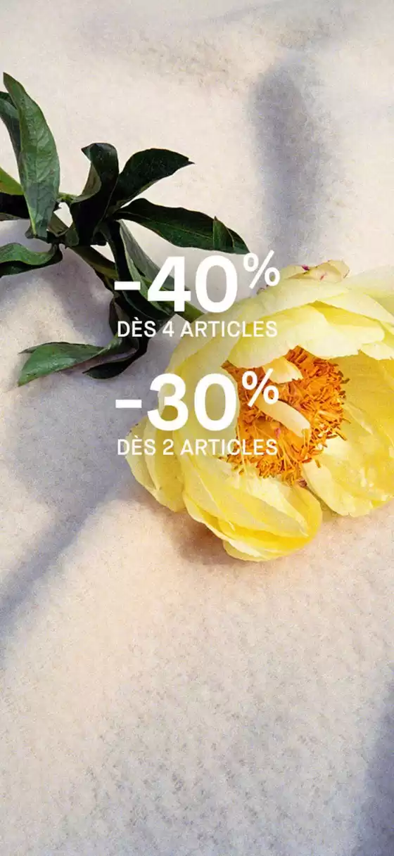 Profitez de -30% dès 2 articles & -40% dès 4 !