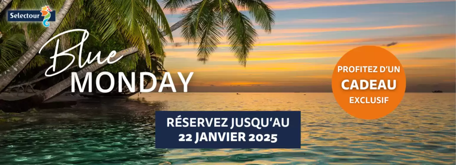 Nos offres du moment