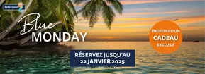 Promos de Voyages | Nos offres du moment sur Selectour Afat | 15/01/2025 - 31/01/2025