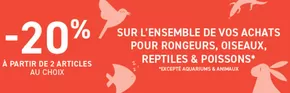 Promos de Jardineries et Animaleries à Lille | Bénéficiez de 20% de réduction dès l'achat de 2 articles ou plus sur Tom&Co | 22/01/2025 - 04/02/2025