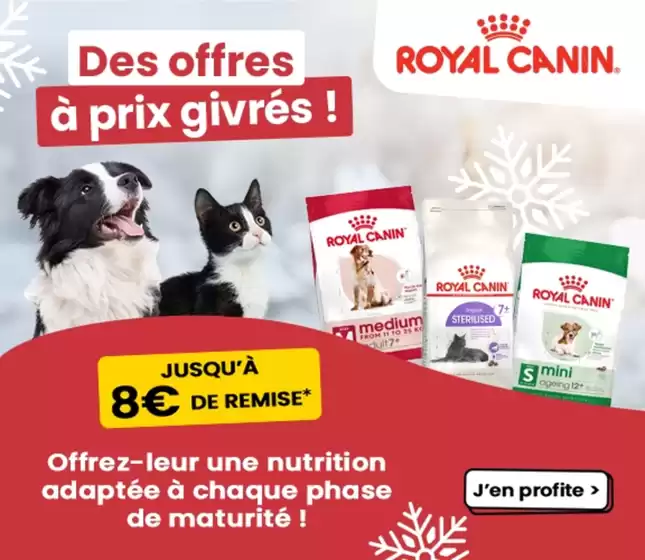 Catalogue Animalis à Toulon | Des offres à prix givrés ! | 05/02/2025 - 28/02/2025