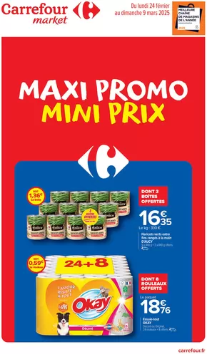 Catalogue Carrefour Drive à Combs-la-Ville | MAXI PROMO MINI PRIX | 24/02/2025 - 09/03/2025